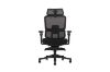 Picture of FLEXO Pro Height Adjustable Mesh Office Chair with 5D Armrests, Lumbar Support (Dark)