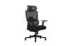 Picture of FLEXO Pro Height Adjustable Mesh Office Chair with Footrest (Dark)