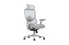 Picture of FLEXO Pro Height Adjustable Mesh Office Chair with Adjustable Headrest & Backrest, 5D Armrest and Seat Slider (Grey)