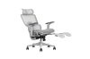 Picture of FLEXO Pro Height Adjustable Mesh Office Chair with 5D Armrests, Lumbar Support (Grey)
