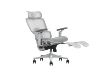 Picture of FLEXO Pro Height Adjustable Mesh Office Chair with 5D Armrests, Lumbar Support (Grey)