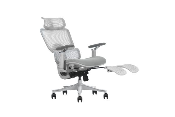 Picture of FLEXO Pro Height Adjustable Mesh Office Chair with 5D Armrests, Lumbar Support (Grey)