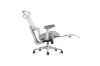 Picture of FLEXO Pro Height Adjustable Mesh Office Chair with 5D Armrests, Lumbar Support (Grey)