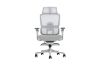 Picture of FLEXO Pro Height Adjustable Mesh Office Chair with 5D Armrests, Lumbar Support (Grey)