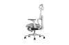 Picture of FLEXO Pro Height Adjustable Mesh Office Chair with Adjustable Headrest & Backrest, 5D Armrest and Seat Slider (Grey)