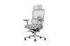 Picture of FLEXO Pro Height Adjustable Mesh Office Chair with 5D Armrests, Lumbar Support & Footrest (Grey)