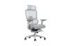 Picture of FLEXO Pro Height Adjustable Mesh Office Chair with 5D Armrests, Lumbar Support & Footrest (Grey)