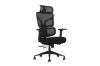 Picture of NEXEN High Back Office Chair with 3D Armrests, Dual Spring Lumbar Support & Seat Slider