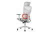 Picture of NEXEN Pro High Back Office Chair with Adjustable Headrest & Backrest, Lumbar Support, 3D Armrests and Seat Slider