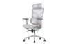 Picture of NEXEN Pro High Back Office Chair 3D Armrests, Dual Spring Lumbar Support & Seat Slider