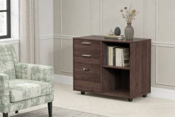 Picture of [FLOOR MODEL CLEARANCE] CRUZ Mobile File Cabinet with Password Lock & Wheels (Brown)