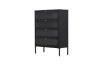 Picture of [FLOOR MODEL CLEARANCE]  STARK Steel Frame 4-Door Transparent Glass Shoe Cabinet (Black)