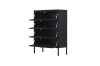 Picture of [FLOOR MODEL CLEARANCE]  STARK Steel Frame 4-Door Transparent Glass Shoe Cabinet (Black)
