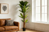 Picture of ARTIFICIAL PLANT Banana Tree Leaves (210cm/300cm Tall)