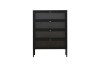 Picture of  [FLOOR MODEL CLEARANCE] STARK Steel Frame 4-Door Transparent Glass Shoe Cabinet (Black) 