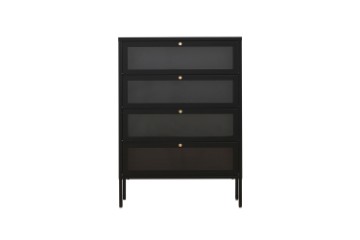 Picture of  [FLOOR MODEL CLEARANCE] STARK Steel Frame 4-Door Transparent Glass Shoe Cabinet (Black) 