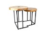 Picture of NATURA Mungur Wood Nesting Coffee Table Set