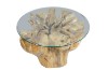 Picture of TAKARA D85 Tempered Glass Top Handcrafted Teak Root Coffee Table