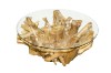 Picture of TAKARA D105 Tempered Glass Top Handcrafted Teak Root Coffee Table