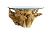 Picture of TAKARA D105 Tempered Glass Top Handcrafted Teak Root Coffee Table
