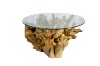 Picture of TAKARA D105 Tempered Glass Top Handcrafted Teak Root Coffee Table