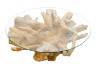 Picture of TAKARA D125 Tempered Glass Top Handcrafted Teak Root Coffee Table