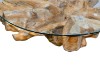 Picture of TAKARA D125 Tempered Glass Top Handcrafted Teak Root Coffee Table
