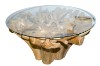 Picture of TAKARA D130/D145 Tempered Glass Top Handcrafted Teak Root Dining Table
