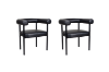 Picture of CORIN Dining Chair  - 2 Chairs in 1 Carton