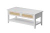 Picture of STORIX 109 Soft Close Lift-Top Coffee Table (White)