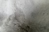Picture of MELOR Bubble Rug - 300x200