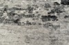 Picture of 398-017 ELEMENT Brilliant Rug (Grey Marble Print) - 230x160cm