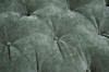 Picture of [FLOOR MODEL CLEARANCE] BAMBURGH  3 Seater Chesterfield Sofa