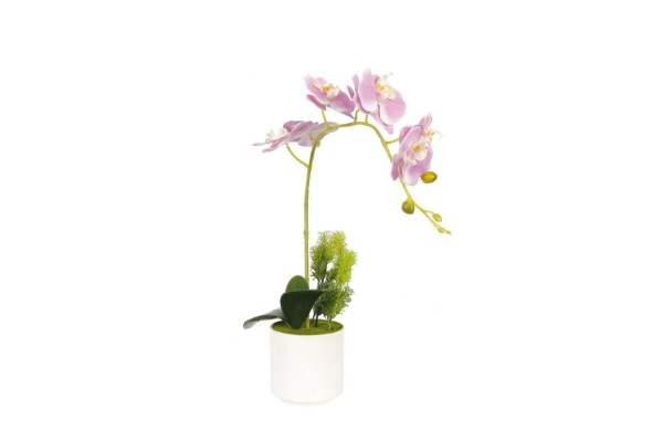 Picture of 394-005 Artificial Purple Orchid Plant - H50cm