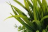 Picture of 394-008 Artificial Green Plant - H25cm
