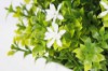 Picture of 394-009 Artificial Green Plant - H20cm
