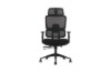 Picture of [FLOOR MODEL CLEARANCE]FLEXO Height Adjustable Office Chair (Dark)